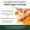 vegan-glucosamine-chondroitin-msm-joint--5.jpg