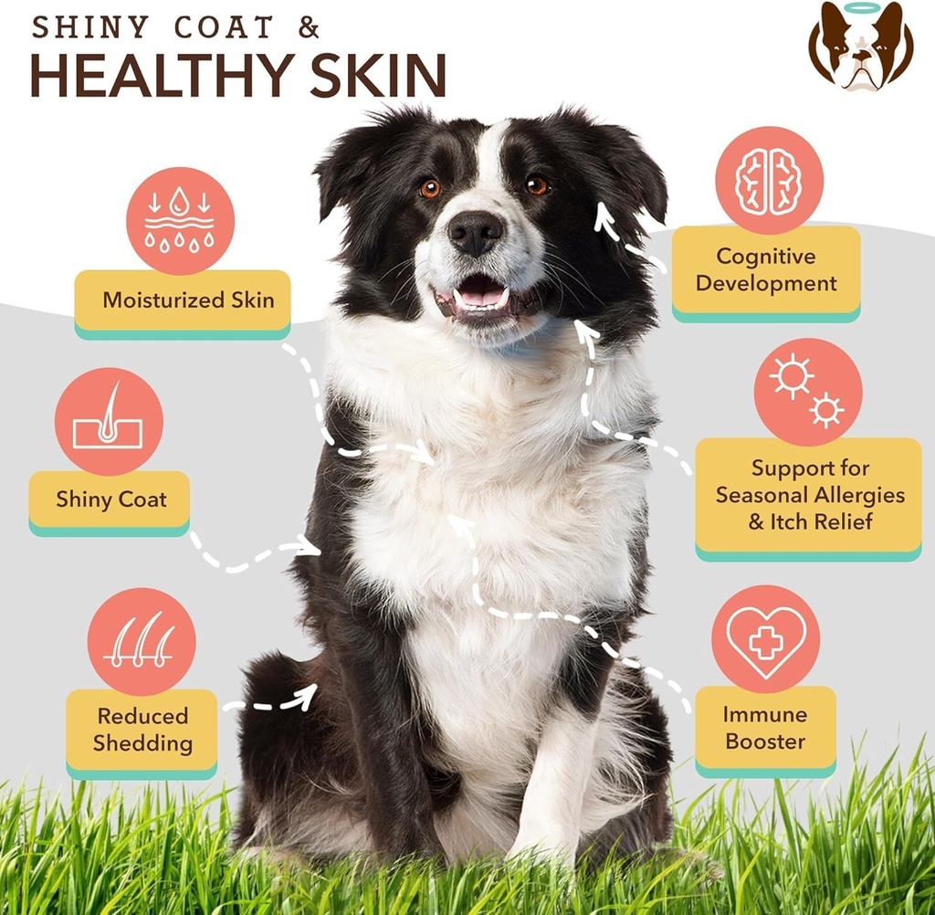 natural-dog-company-2-pack---16-oz-skin--2.jpg