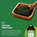 healthforce-superfoods-spirulina-manna-5-6.jpg