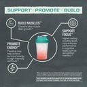 sunwarrior-creatine-monohydrate-powder-m-4.jpg