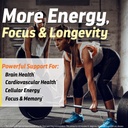 coq10-100mg-pqq-supplement-20mg-coenzyme-4.jpg