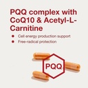 protocol-for-life-balance-pqq-complex-mi-4.jpg