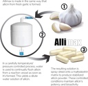 allicin-garlic-supplement-to-support-you-6.jpg
