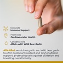 premier-research-labs-allicidin-garlic-a-4.jpg