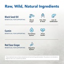 north-american-herb-spice-black-seed-plu-3.jpg