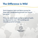 north-american-herb-spice-black-seed-plu-6.jpg