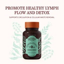 herbs-etc-lymphatonic-softgels-herbal-su-2.jpg