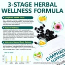 fanshi-lymphatic-drainage-supplements-24-3.jpg