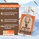 reindeer-organ-supplement-for-men-arctic-2.jpg