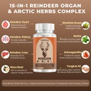 reindeer-organ-supplement-for-men-arctic-3.jpg