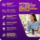 herbame-nad-support-supplement-multi-pat-6.jpg