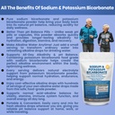 sodium-bicarbonate-powder-potassium-bica-3.jpg