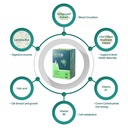 brain-supplement-natural-nootropic-with--4.jpg