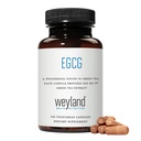 egcg-green-tea-extract-high-antioxidant--2.jpg