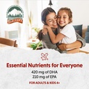 barlean-s-ginger-peach-vegan-omega-3-sup-5.jpg
