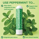 moxe-peppermint-essential-oil-nasal-inha-2.jpg