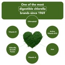 sun-chlorella-powder-green-superfood-alg-5.jpg