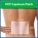 salonpas-pain-relieving-hot-capsicum-pat-2.jpg