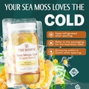 trueseamoss-wildcrafted-irish-sea-moss-g-6.jpg