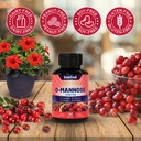 d-mannose-supplement-1000mg-capsules-wit-5.jpg