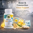pure-joint-glucosamine-chondroitin-msm-j-5.jpg