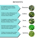 bixa-botanical-ayurvedic-natural-herbal--5.jpg