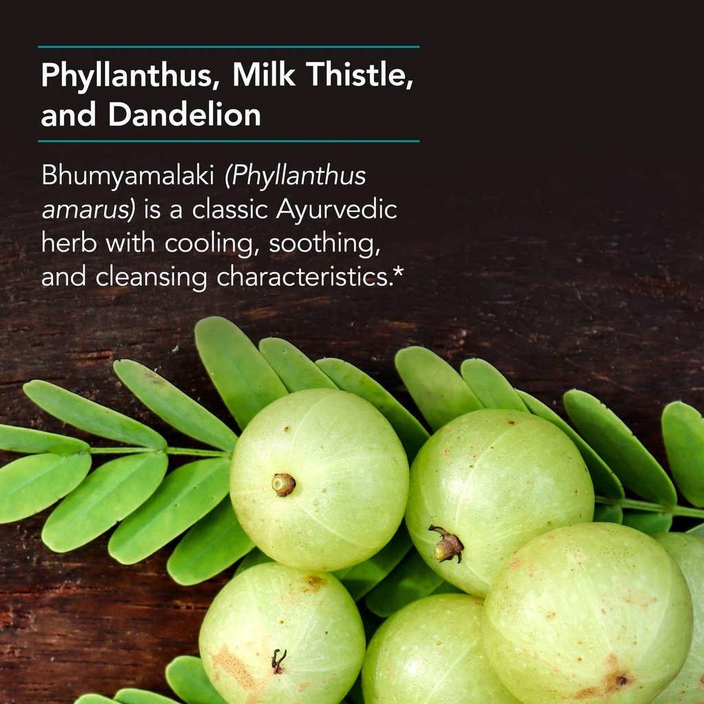 nutricology-milk-thistle-seed-complex-he-5.jpg