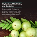 nutricology-milk-thistle-seed-complex-he-5.jpg