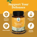 bundle-of-horny-goat-weed-for-men-with-b-5.jpg