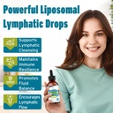 liposomal-lymphatic-detox-drainage-drops-6.jpg