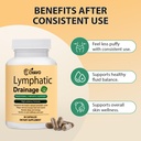 lymphatic-drainage-supplement-lymphatic--2.jpg