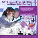 lymphatic-drainage-liver-cleanse-detox-r-5.jpg