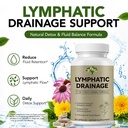 lymphatic-drainage-supplements-21-in-1-l-2.jpg