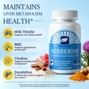 b-beworths-berberine-hcl-supplement-berb-4.jpg