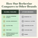 berberine-complex-supplement-with-ceylon-4.jpg