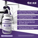 eas-experimental-and-applied-sciences-as-3.jpg
