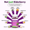 2-pack-elderberry-gummies-with-sea-moss--2.jpg
