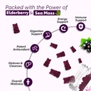 2-pack-elderberry-gummies-with-sea-moss--3.jpg