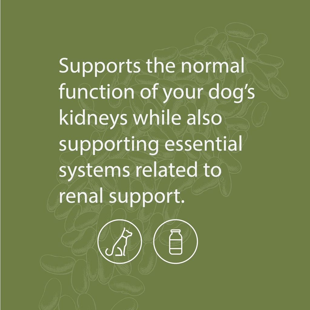 standard-process-canine-renal-support-do-3.jpg