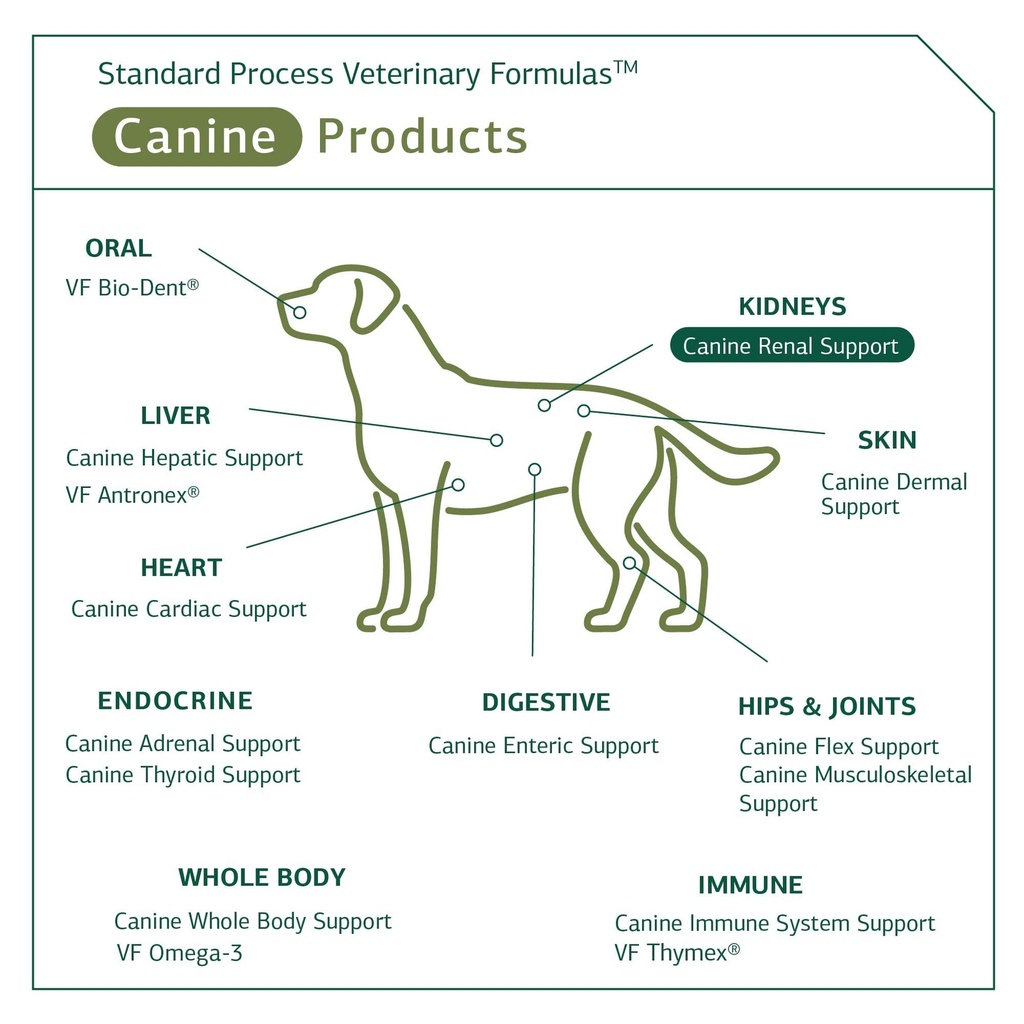 standard-process-canine-renal-support-do-5.jpg