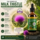 rejuvica-health-vitaliver-liver-cleanse--5.jpg