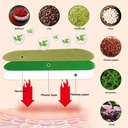 herballegs-patches-wormwood-legs-patches-4.jpg