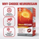 labo-nutrition-neuroregain-scallop-deriv-2.jpg