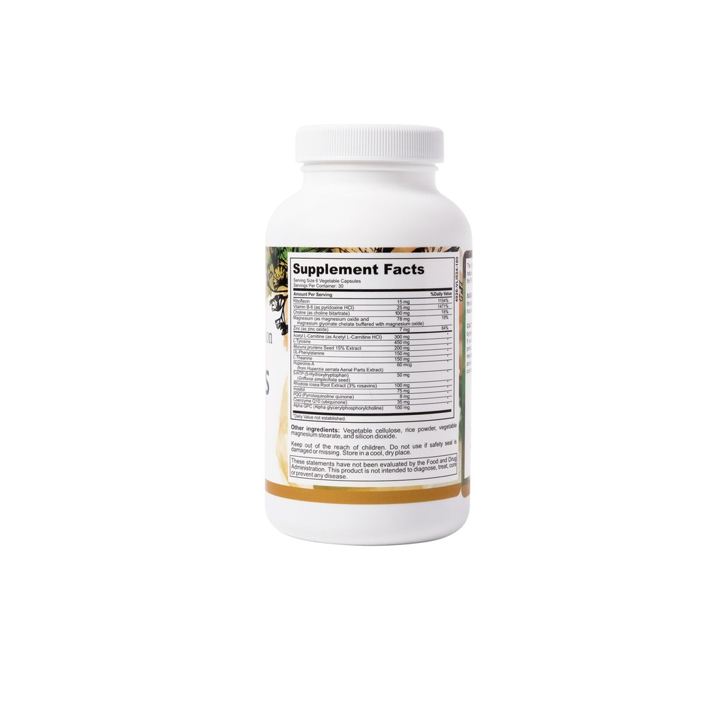 in-focus-supports-mental-clarity-no-caff-2.jpg