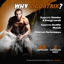 3-pack-vigortrix-supplement-official-vig-4.jpg
