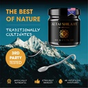 altai-shilajit-resin-50g-pure-shilajit-g-4.jpg