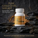 natural-shilajit-capsules-550mg-with-ash-2.jpg
