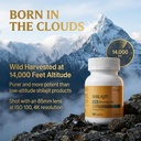 natural-shilajit-capsules-550mg-with-ash-3.jpg