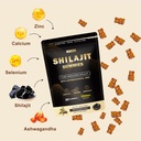 2400mg-shilajit-gummies-with-2000mg-orga-2.jpg
