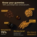 pure-himalayan-shilajit-gold-gummies-300-4.jpg